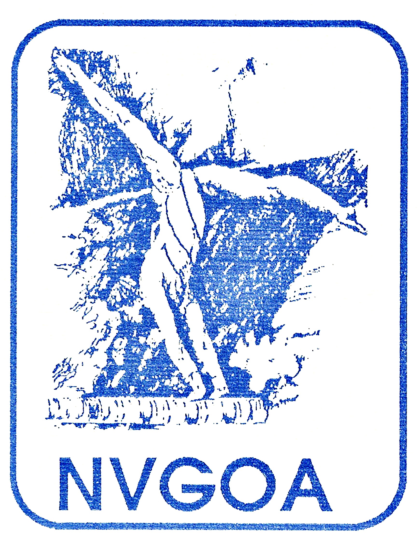 nvgoalogo.jpg